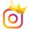 instagram icon