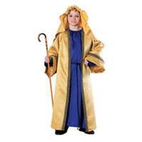 ONLINE ONLY:  Joseph Deluxe Boy's Costume 