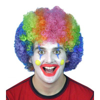 Rainbow Clown Afro Wig