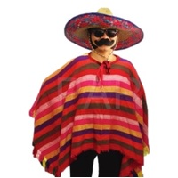 Mexican Poncho - Woven Red Rainbow Stripe