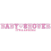 Baby Shower Banner Set - Girl
