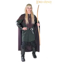 ONLINE ONLY:  Lord of the Rings Legolas Adult Costume 