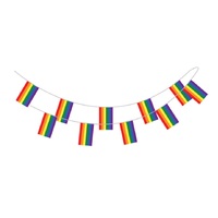 Rainbow Pride Flag Bunting - 3.6m