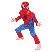Spider-man Boys Costume