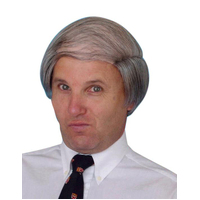 Old Man Combover Wig