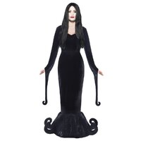 Morticia Addams Inspired Adult Costume 