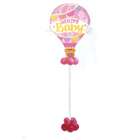 Baby Girl Hot Air Balloons Celebration