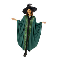 ONLINE ONLY:  Professor McGonagall Adult Hat & Robe