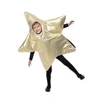 ONLINE ONLY: Christmas Star Kid's Costume