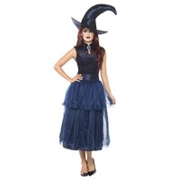 Deluxe Midnight Witch Adult Costume