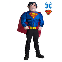 ONLINE ONLY:  Superman Inflatable Kid's Costume Top