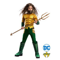 ONLINE ONLY: Aquaman Deluxe Kid's Costume