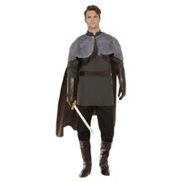 ONLINE ONLY: Deluxe Medieval Lord Adult Costume
