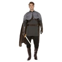 ONLINE ONLY: Deluxe Medieval Lord Adult Costume