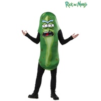 Rick & Morty Pickle Adult Costume - One Size