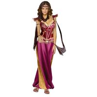 Arabian Desert Queen Womens Costume