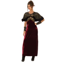 Medieval Warrior Lady Adult Costume