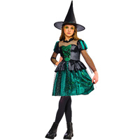 Wizard of Oz Wicked Witch Kid's Costume