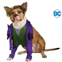 ONLINE ONLY:  The Joker Pet Costume