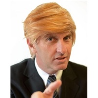 Trump Inspired Wig