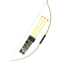 Bow & Arrow Set