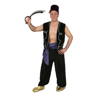 Male Genie 1 Hire Costume*