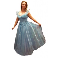 Cinderella - Long Hire Costume*