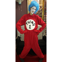 Thing 1 Hire Costume*