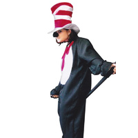 Cat in the Hat Hire Costume*