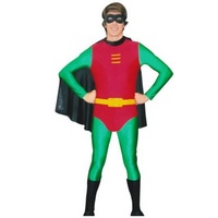 Robin Hire Costume*