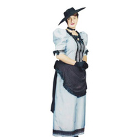 Edwardian Costume - Blue Hire Costume*