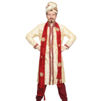 Bollywood Guy 5 Hire Costume*