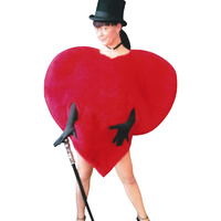 Love Heart Hire Costume*