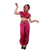 I Dream of Jeannie Hire Costume*