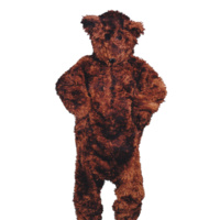 Teddy Bear Mascot Hire Costume*