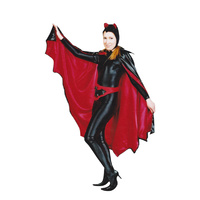Batgirl Hire Costume*
