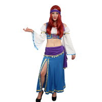 Esmerelda 2 Hire Costume*