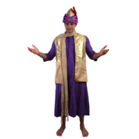 Bollywood Guy 4 Hire Costume*