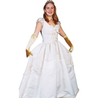 Sleeping Beauty Hire Costume*