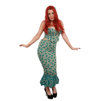 Mermaid 3 Hire Costume*