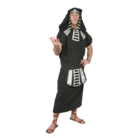 Egyptian Noble 3 Hire Costume*