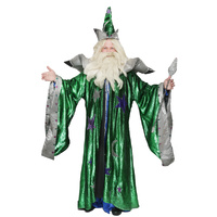 Wizard - Deluxe Green Hire Costume*