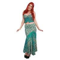 Mermaid 4 Hire Costume*
