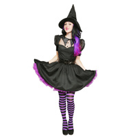 Bewitching Witch Hire Costume*
