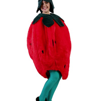 Strawberry Hire Costume*