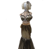 Mermaid 7 Hire Costume*