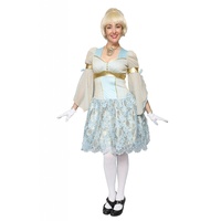 Cinderella - Short Hire Costume*