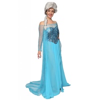 Frozen - Queen Elsa Hire Costume*