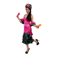 Brazilian Carmen Miranda - Carnivale - Hot Pink Hire Costume*