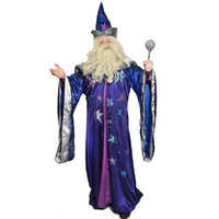 Wizard - Deluxe Blue Hire Costume*